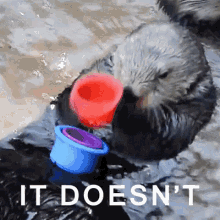 Otter doesn't fit
